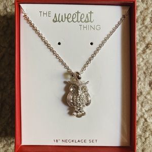 Owl 18” necklace- silver chain